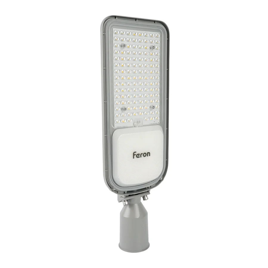 Светильник уличный консольный Feron SP3050, 100 Вт, IP65