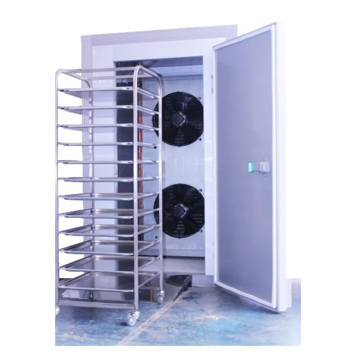Камера шоковой заморозки Intercold ШСМ 3050 А, до 200 кг за 240 мин, фото 1
